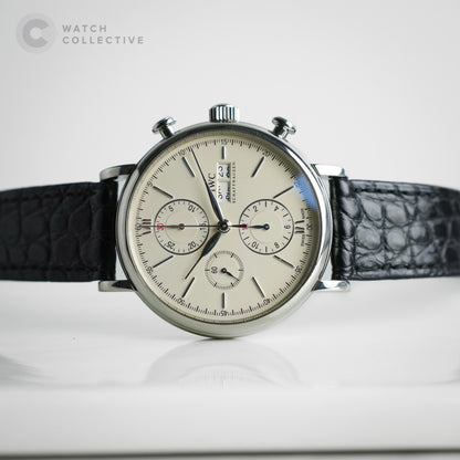 Portofino Chronograph day date Stainless Steel 42mm Automatic IW391007